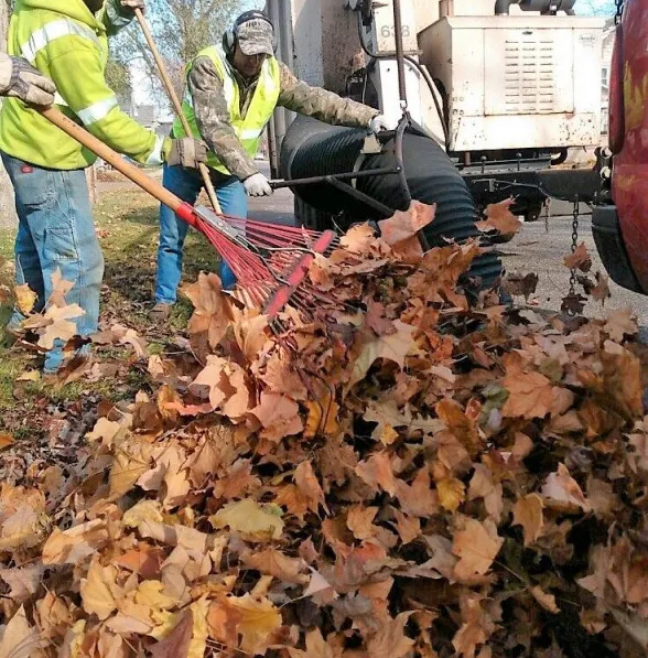 Spring & Fall Cleanup